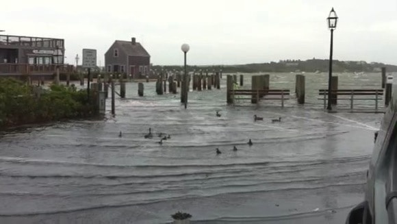 Hurricane Irene Edgartown Ducks