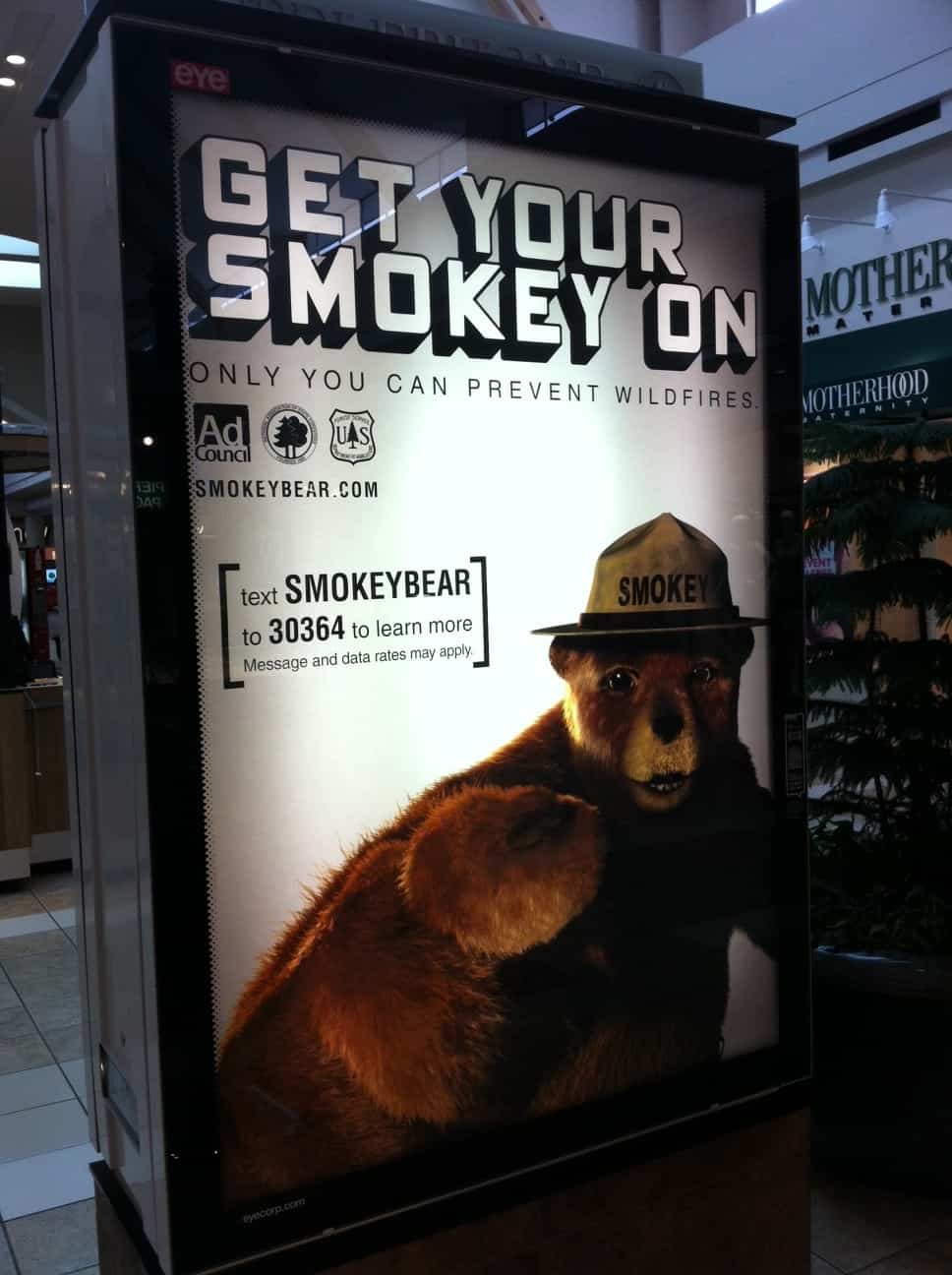 Smokey Bear Text Message Campaign