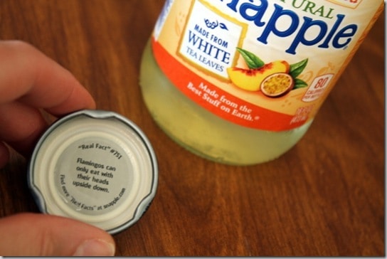 Snapple Real Facts
