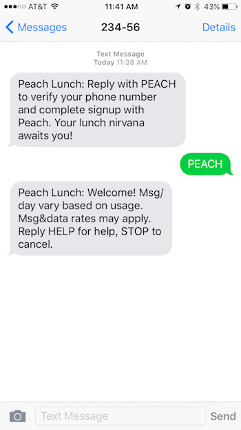 Peach Text Message Confirmation 2