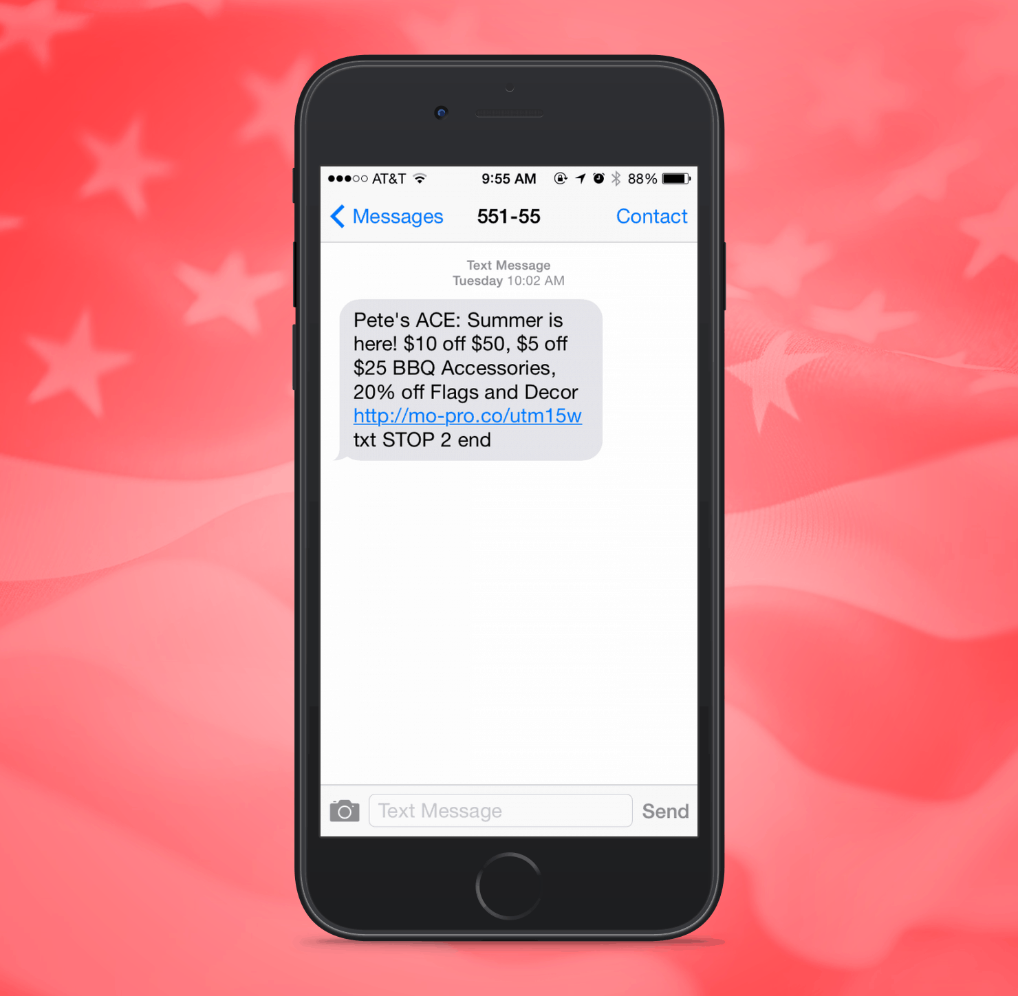 Ace Hardware SMS Promotion Example from Independence Day