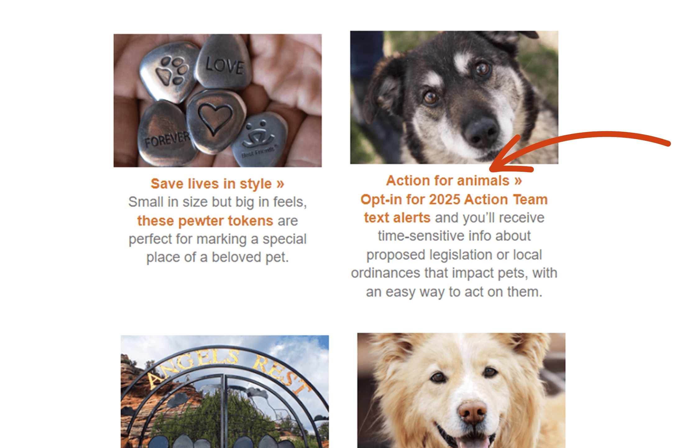 Example from a Best Friends Animal Society newsletter