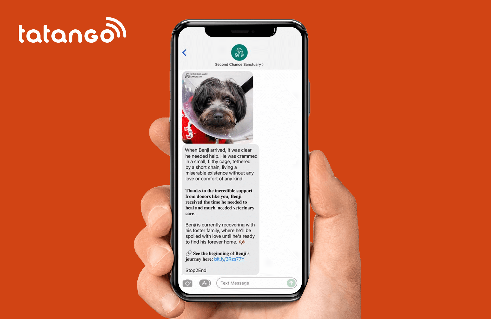 Nonprofit mobile marketing message with a photo of Benji the rescue dog and a link to his story